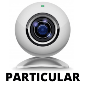 Clase particular de bajo eléctrico por videoconferencia