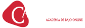 logo-de-carlos-laiz-academia-de-bajo-online